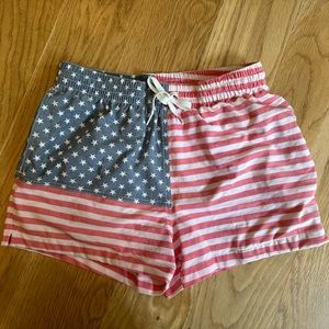 Chubbies 4” The Mericas swim shorts, size small, mesh lined